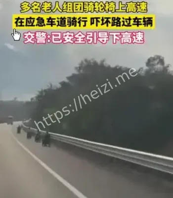 老年人电动三轮误入高速