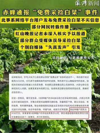 赤峰免费采捡白菜